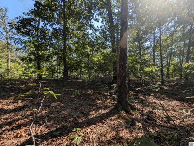 Lot 130 Eagle Look Lane