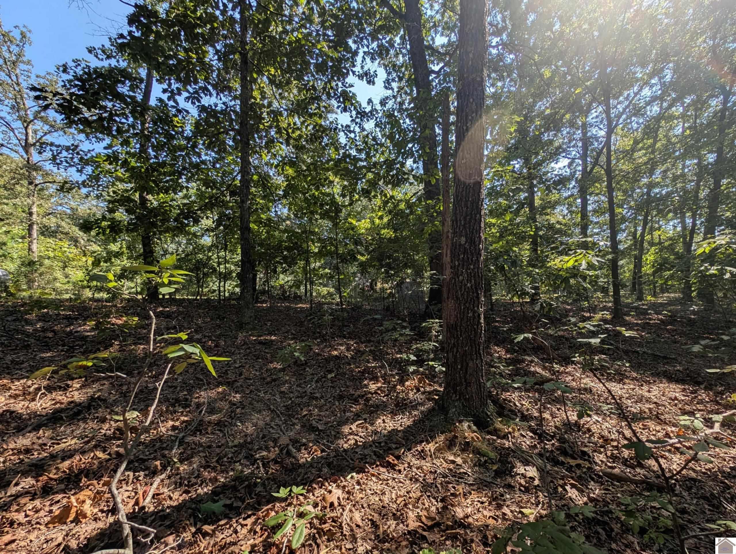 Image 1: Lot 130- wooded 1 acre