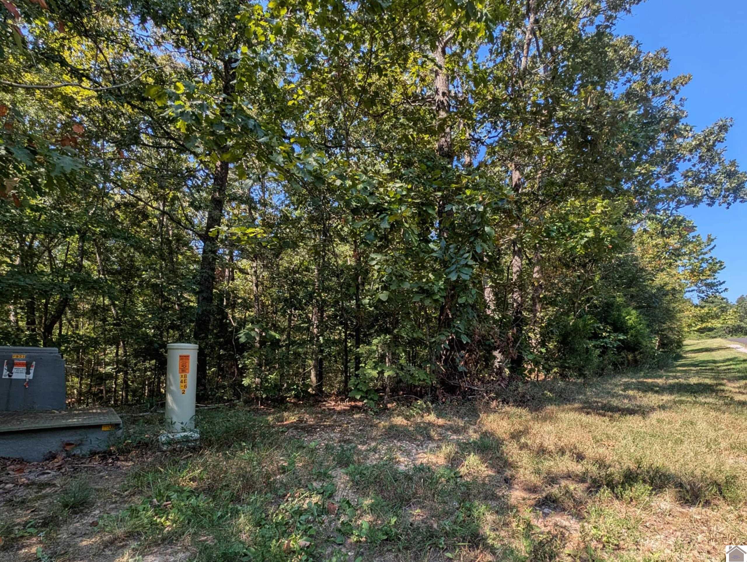 Image 2: Lot 130- wooded 1 acre