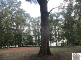 37 Periwinkle Hill