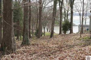 Lot 44 Cherokee Loop