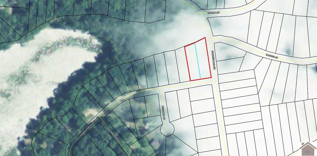 Image 1: Image 1