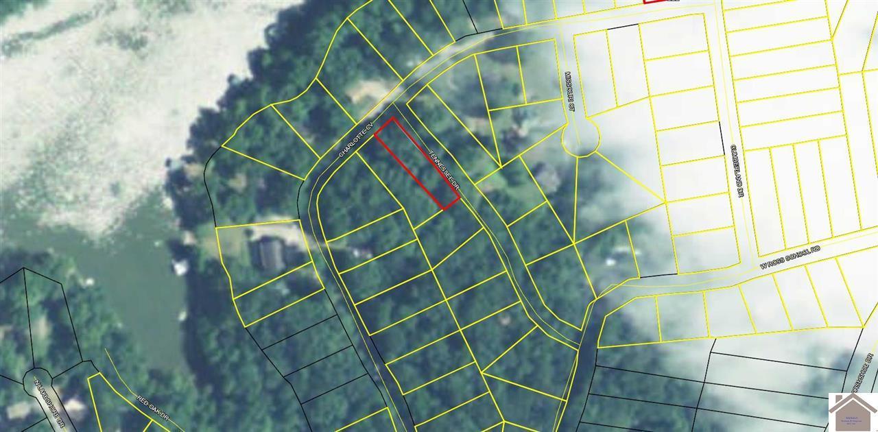 Image 1: Image 1