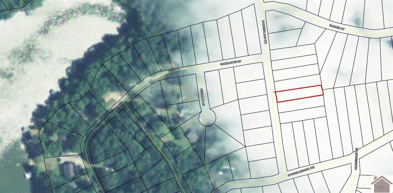 Image 1: Image 1