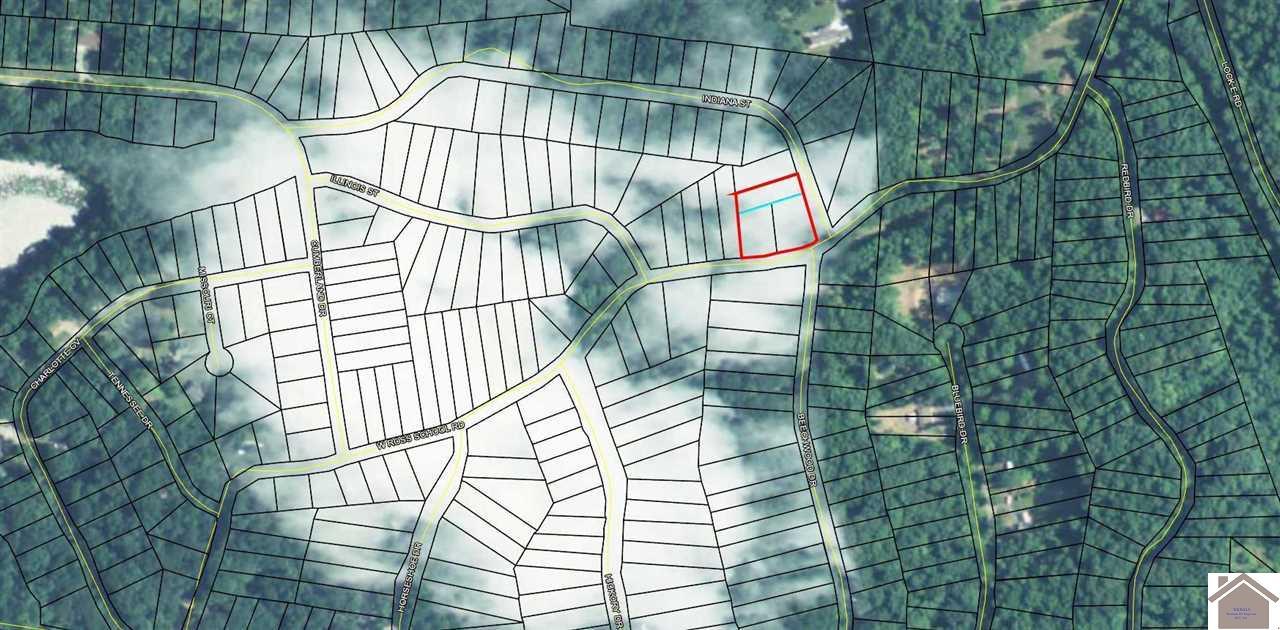 Image 1: Image 1