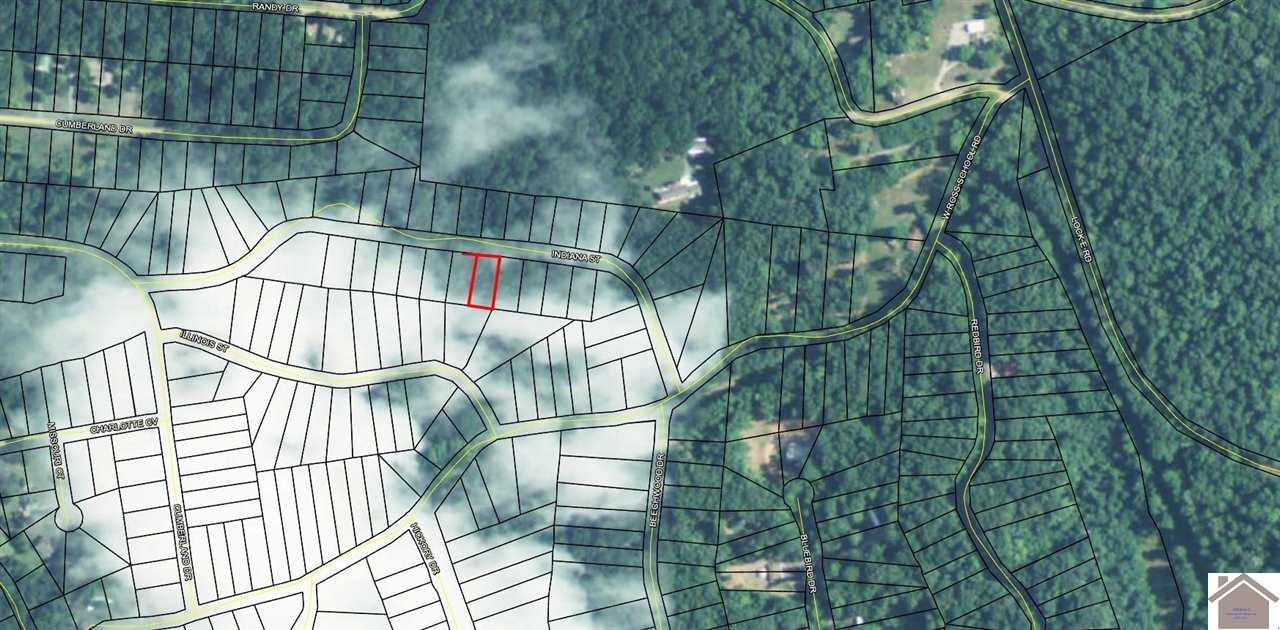 Image 1: Image 1