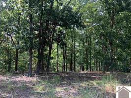 Lot 168 Shine Lane