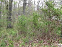 335 Peachtree Dr