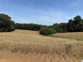 14.653 acres Cedar Knob Road