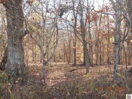 Lot 14 Woodfield Estates Dr.