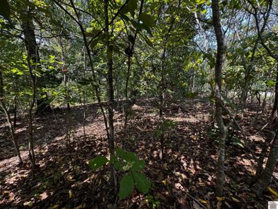 Lot 152 Centerview Rd