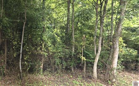 0 Speaker Trail