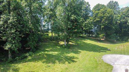 Lot 40 Kuttawa Springs Court