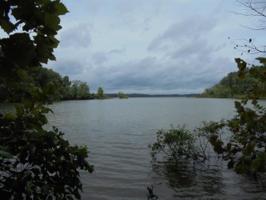 Lot 39 Wheaton Way