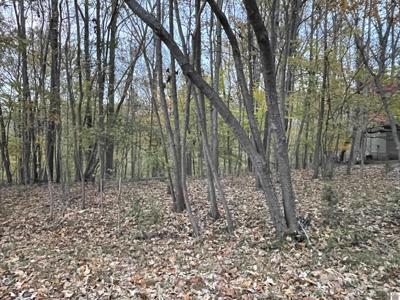 Lot 65 Barkley Shores