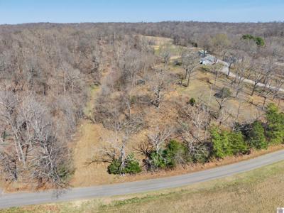 2113 Chestnut Oak