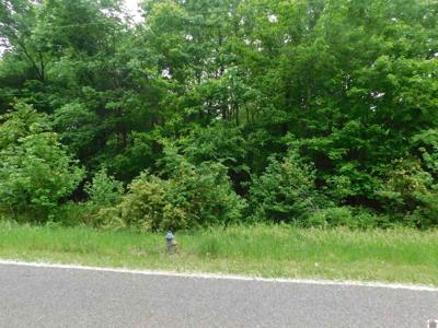 Lots 63,64,65 Arrowhead Acres
