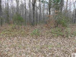 912 Wildcat Drive (Lt# 241)