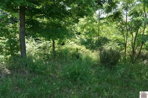 LOT 31 SLOVER TRIANGLE