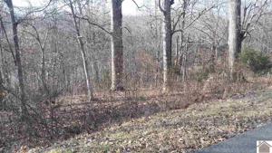 Lot 13 Backstrom Heights Rd