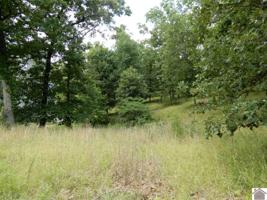 000 SPRING HILL DR