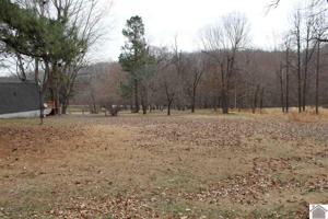 Lot 49 & 50 Roy Harris Road
