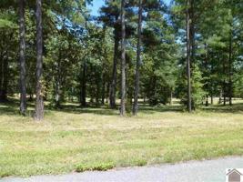 phase II Sassy Land Subdivision