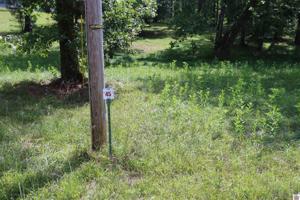 Lot #45 Doe Valley Drive