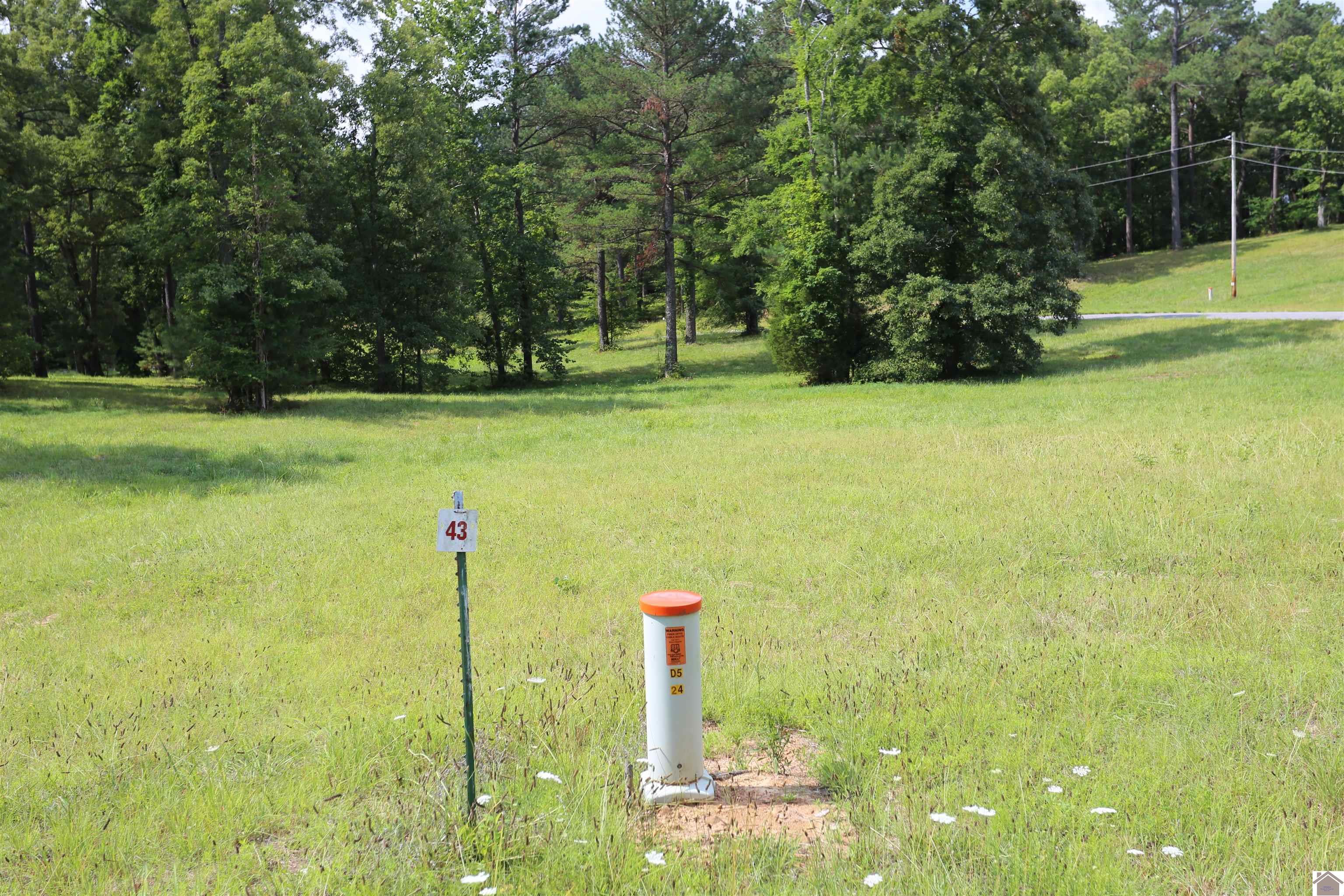 Image 1: Image 1