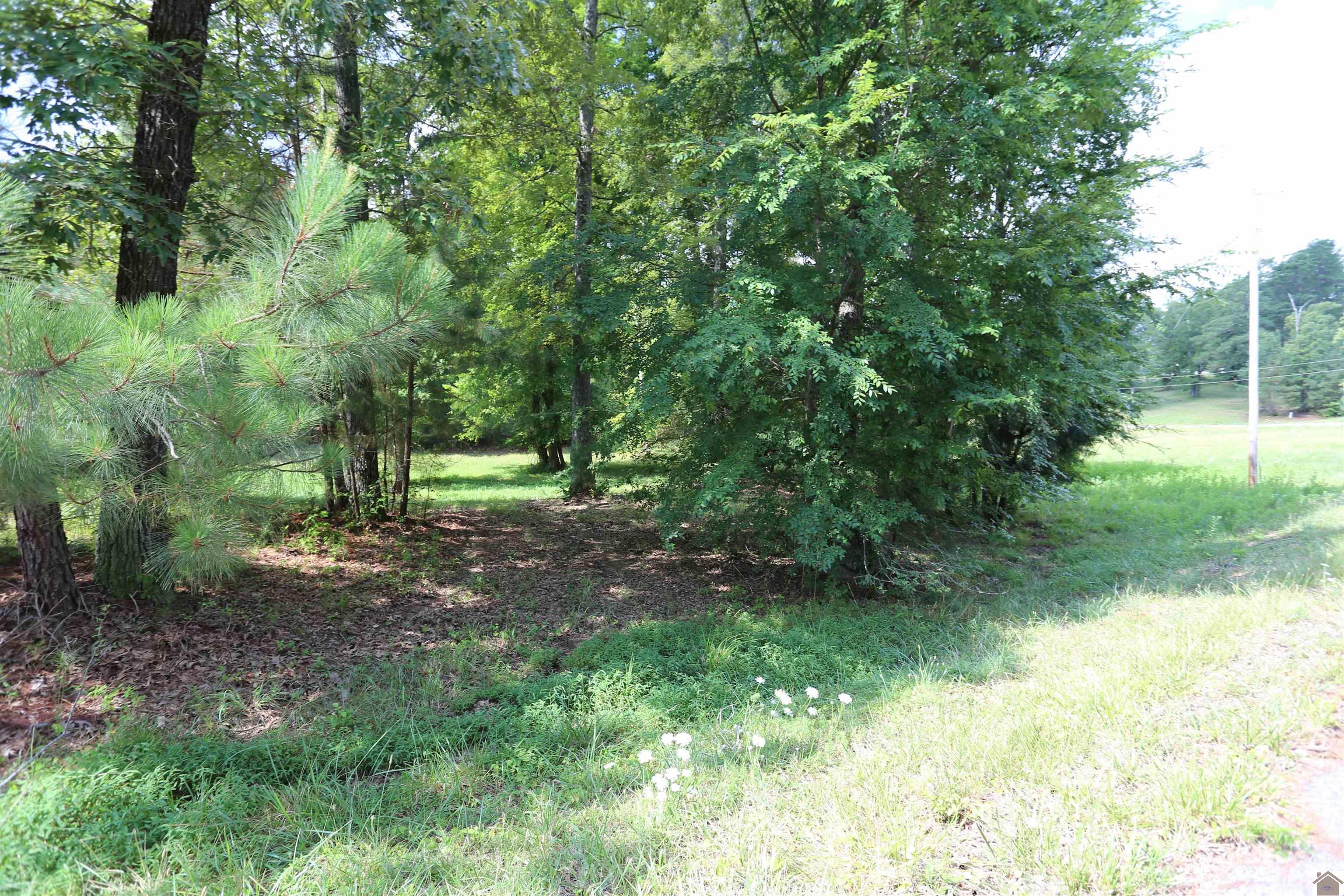 Image 2: Image 2