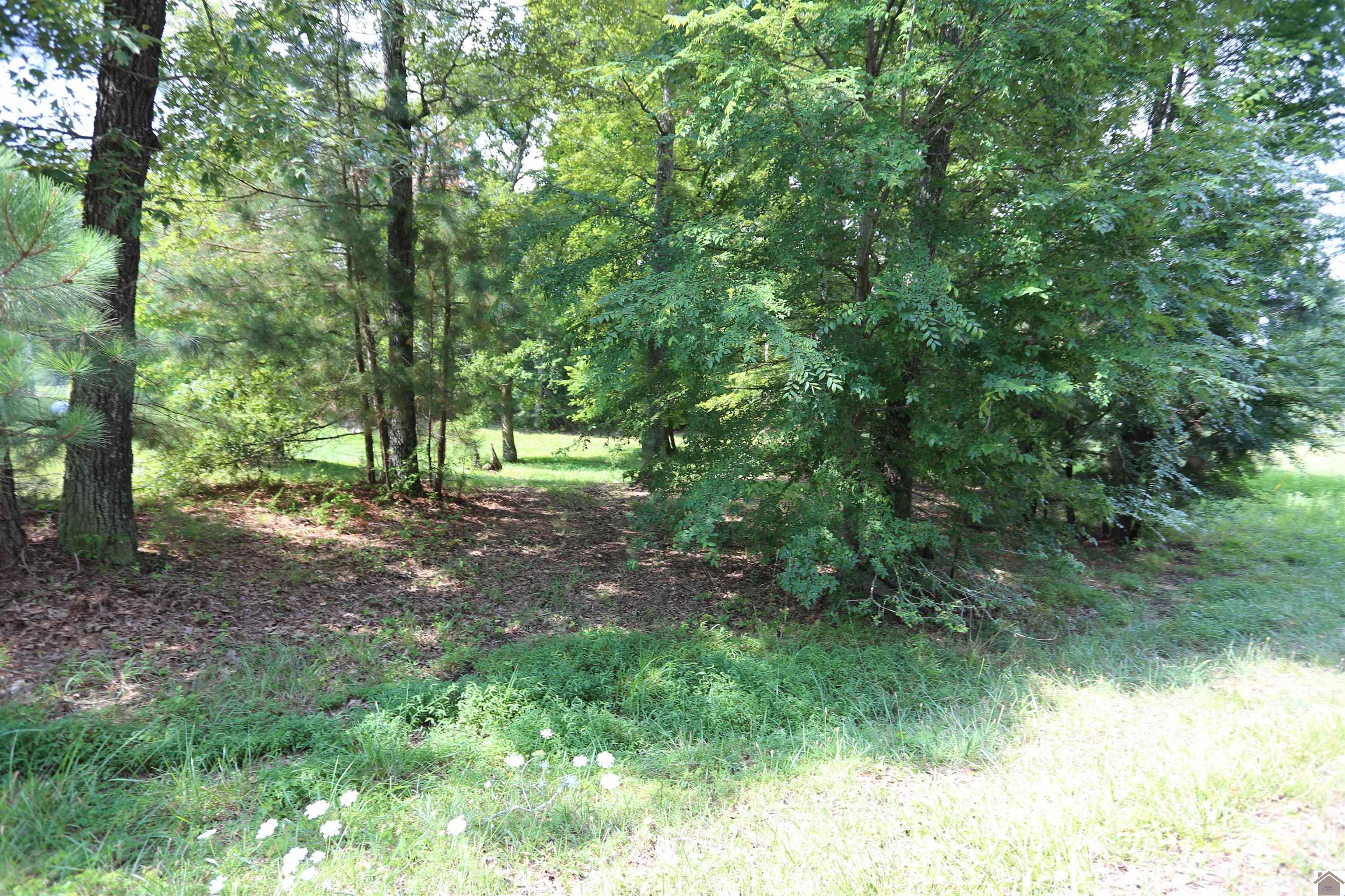 Image 3: Image 3