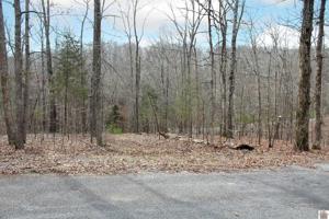 Lots 783 & 784 Unit 4 of KY Lakes Development