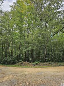 000 Skylark Road