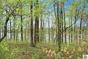 Lot 61 Dock Drive