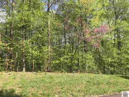 Lot 39 Wheaton Way