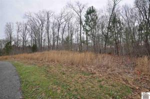 00 Hills Hollow Rd, Lot 20