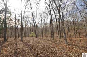00 Hills Hollow Rd, Lot 51