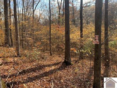 000 Spring Hill Rd