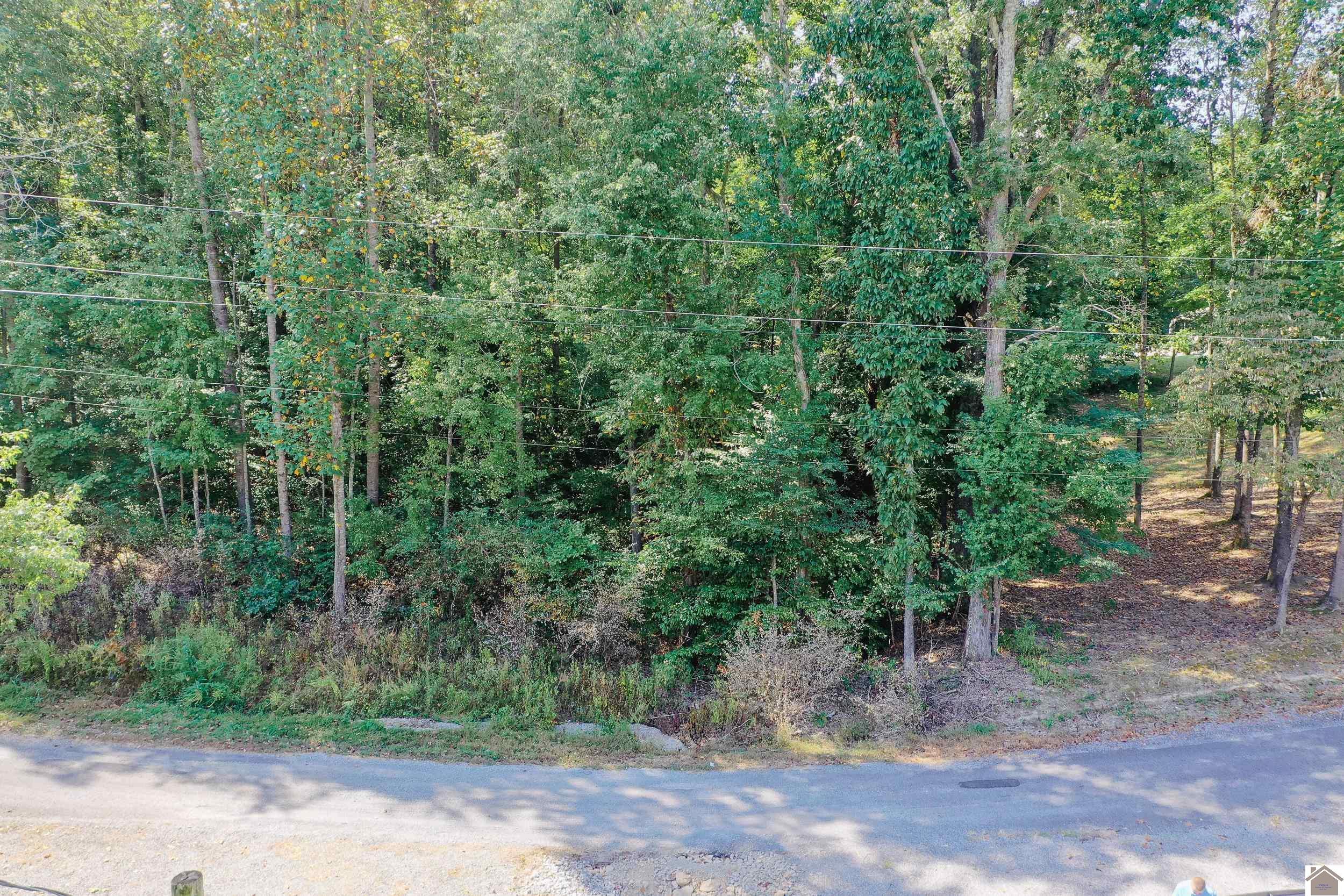 Image 1: Image 1