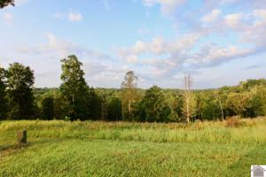 Lot 15 Rose Lane