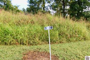Lot 29 Rose Lane