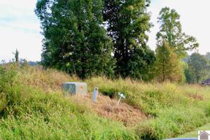 Lot 30 Rose Lane