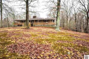 115 Rosebud Ln