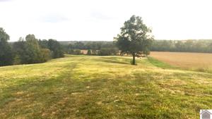 lot 39 jonathan creek