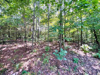 00 Oakview Lane, Lots 33, 34, 35