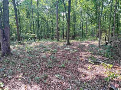 00 Beat Farmer Road, Lot 2