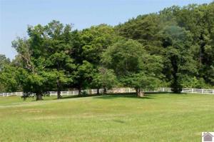 Lot 55.01 Malcolm's Point