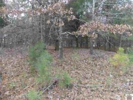 230 Nighthawk Drive (Lt# 414,15,16)