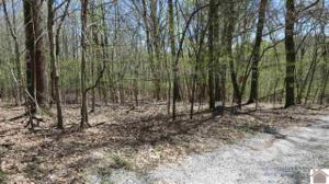 00 Reynolds Trail