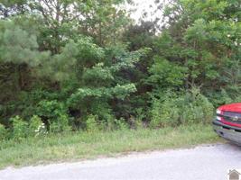 179 Skylark Drive Lot# 48